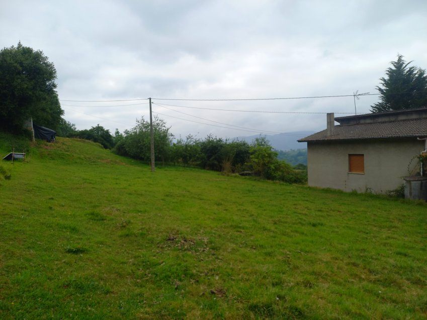 Finca edificable en CABRANES  (FIN