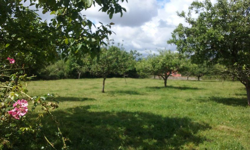 2 Fincas edificables en Selorio   VILLAVICIOSA  (FIN