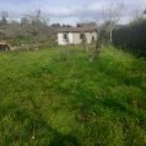 Finca edificable en Selorio   VILLAVICIOSA  (FIN
