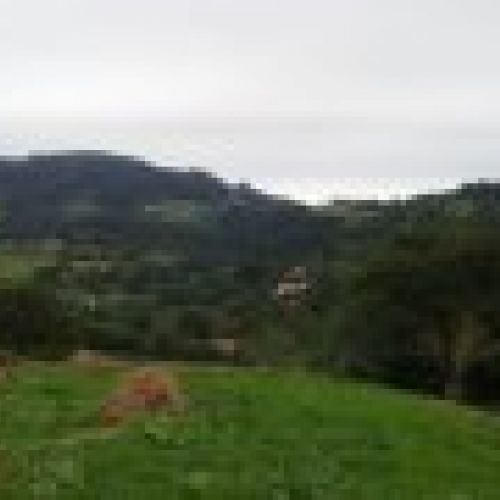 Casa de piedra para rehabilitar en VILLAVICIOSA  (REAB