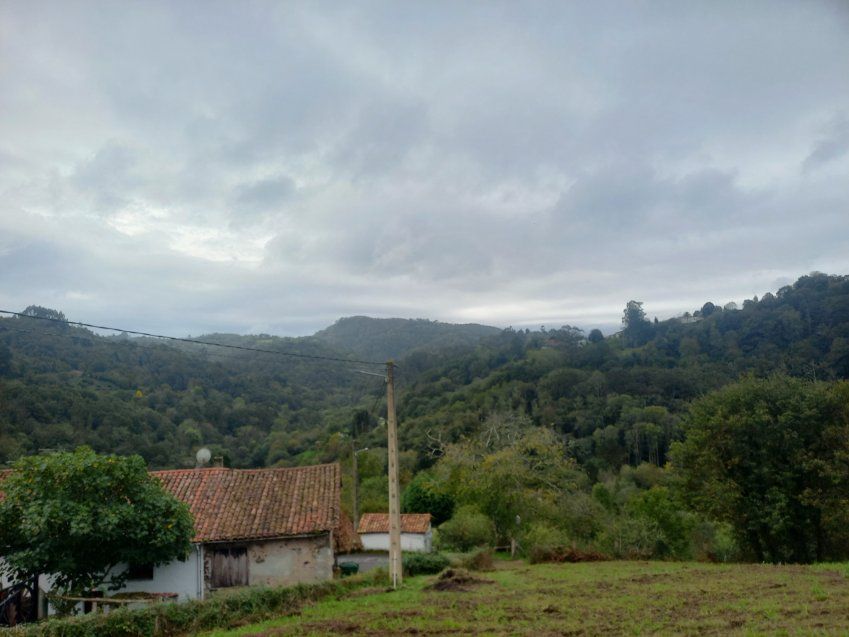 Finca edificable en CABRANES  (FIN