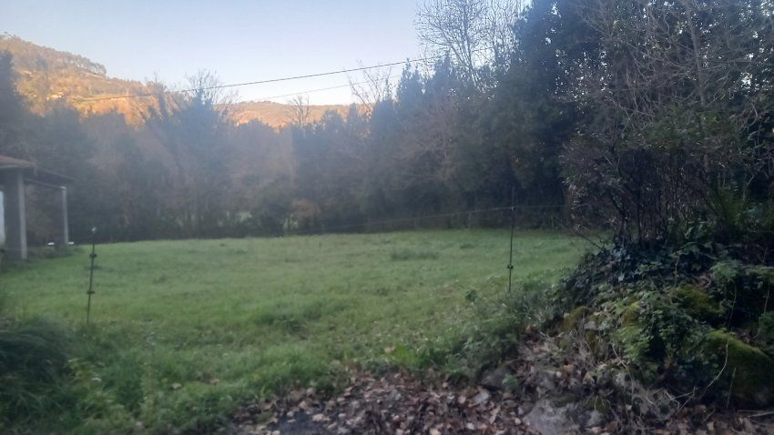 Finca edificable en Valdediós   VILLAVICIOSA  (FIN.0166)