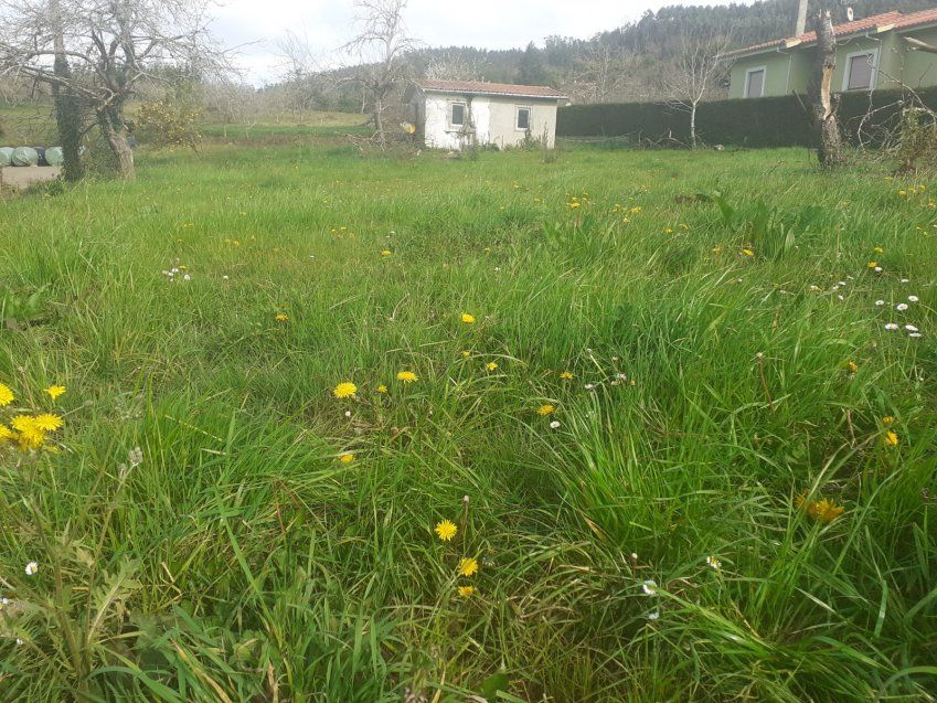 Finca edificable en Selorio   VILLAVICIOSA  (FIN