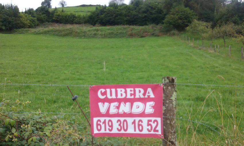 Finca edificable en VILLAVICIOSA  (FIN