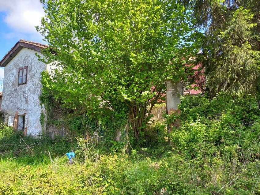 Casa de piedra independiente para rehabilitar  (REAB