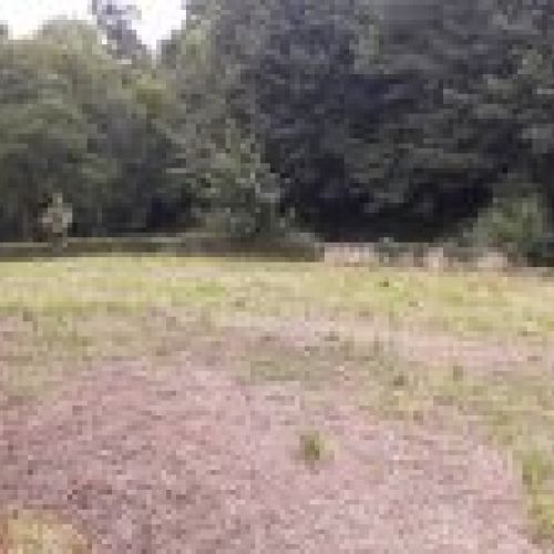 Finca edificable y Cuadra en CABRANES  (FIN