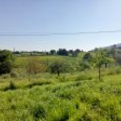 Finca edificable de 3