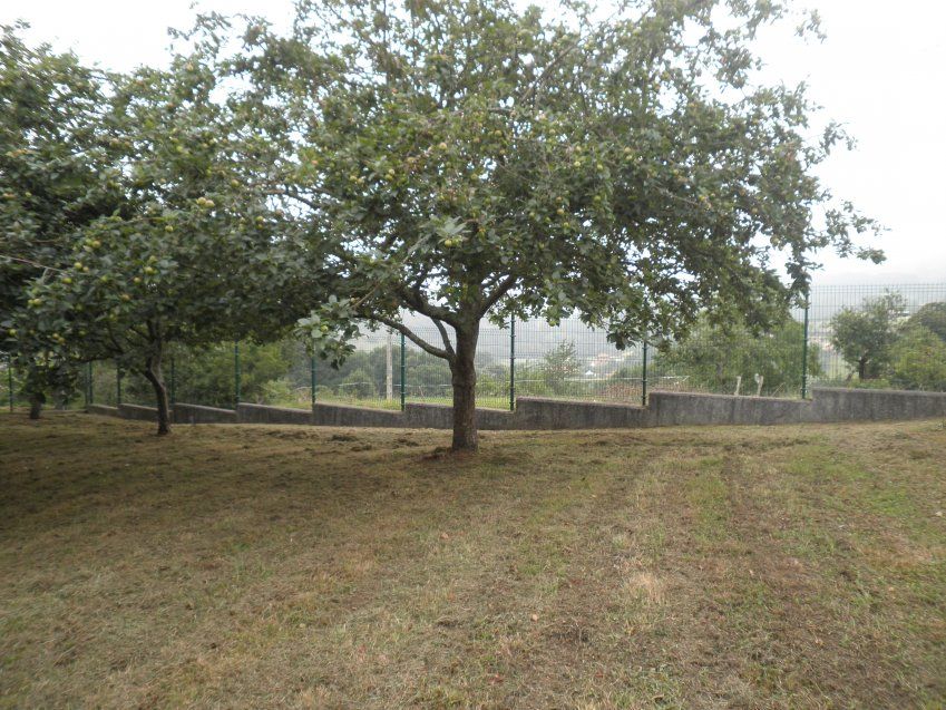 Venta de finca edificable en Villaviciosa  (FIN