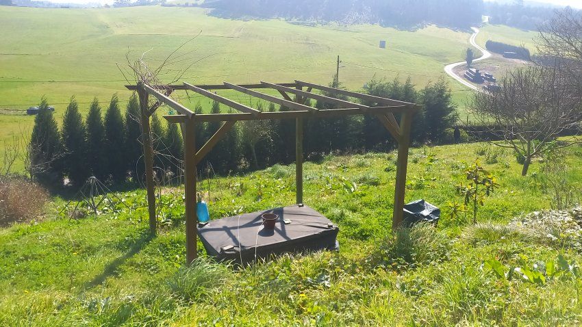 338c0b8aa120412678736246ce2f4a86414eab99