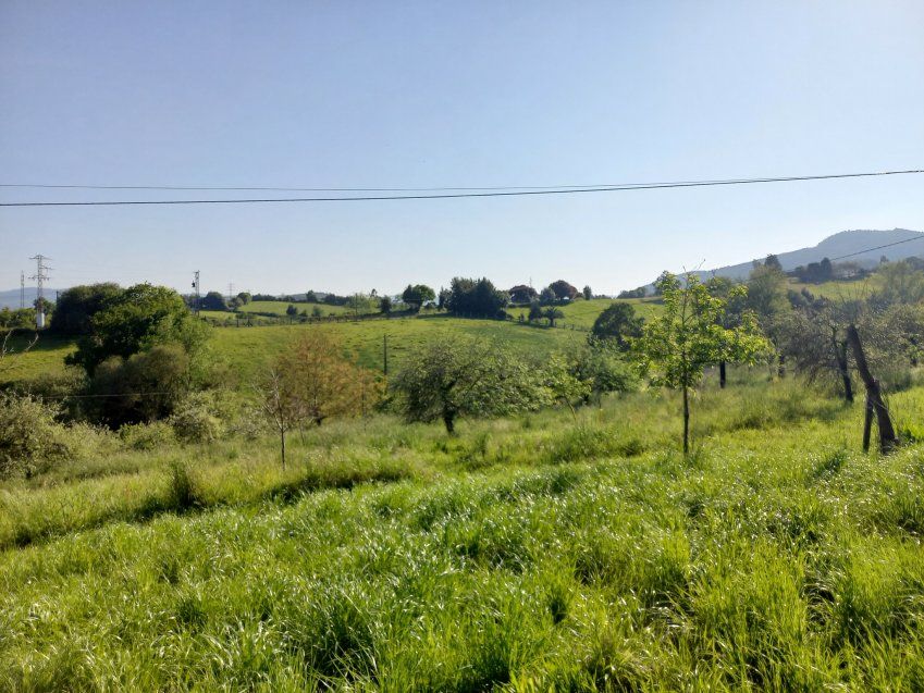 Finca edificable de 3