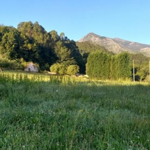 Finca edificable y parcelable con casa para rehabilitar en CARAVIA  (FIN
