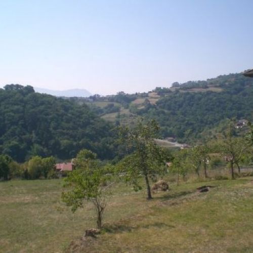 prod 196717