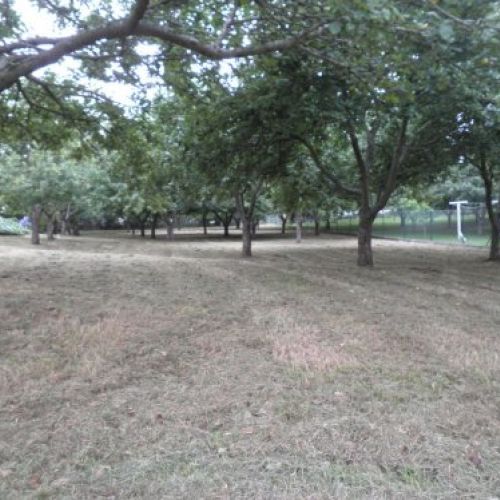 e47c0b0ccbb2979badc55242db8f89feed4912fc