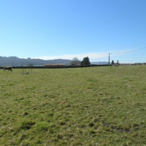 Venta de Fincas Edificables en OLES (VILLAVICIOSA)