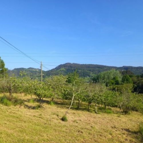 32d47519b9aa42fb48a054199507c0fa25b5dceb