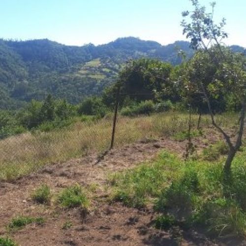 c407394fbd296d967c7faeac079f0a876e586108