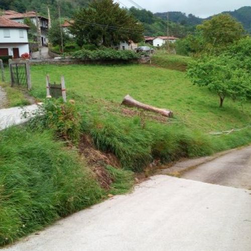 Finca edificable en CABRANES  (FIN