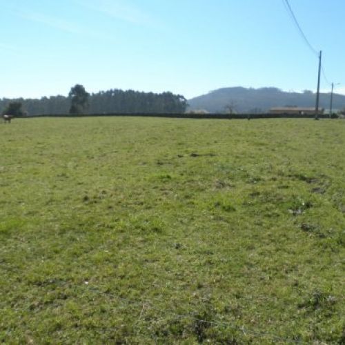 ba48b24f688a92ae1279be4d5884b49ecbffa400