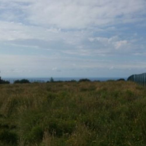 Finca edificable en Careñes (VILLAVICIOSA)  (FIN