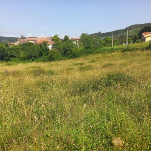 7d19772347e59a5bf74ea008b8e3201c11a51e6f