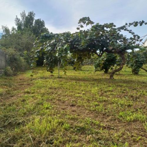 Finca edificable en Selorio   VILLAVICIOSA  (FIN