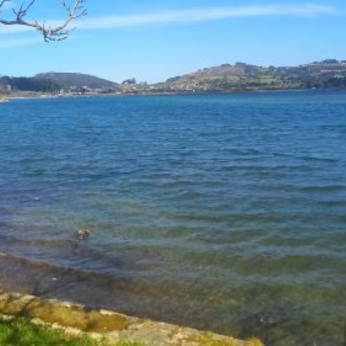 f005a2a49c1f379a8122c2ca35e7b4299923dfe1