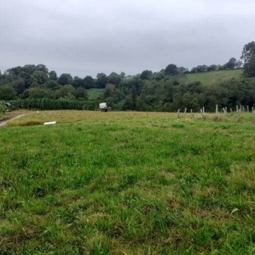 bd9d630f038cb041c6e4b9cf8d0a116cd22c5cd4