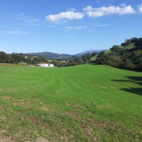 6a59373e7cc8b35909a8f8f2504c5bc087770f54