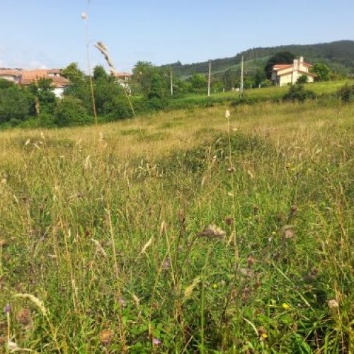 Finca edificable en zona de Selorio   VILLAVICIOSA  (FIN