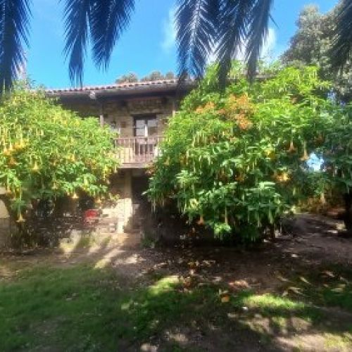 Casa de piedra con Cuadras y Llagar para reformar en Quintueles VILLAVICIOSA (REAB