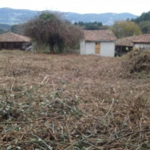 Finca edificable con Panera en Villaviciosa  (FIN