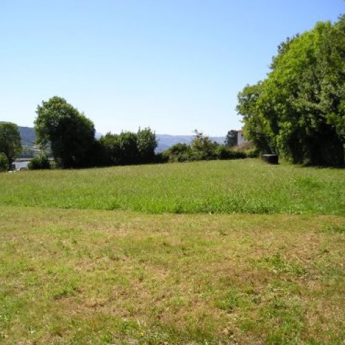 fincas san martin 004