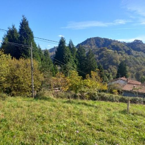 4624902d54d043be4a6cead414506fcf8e0a5262