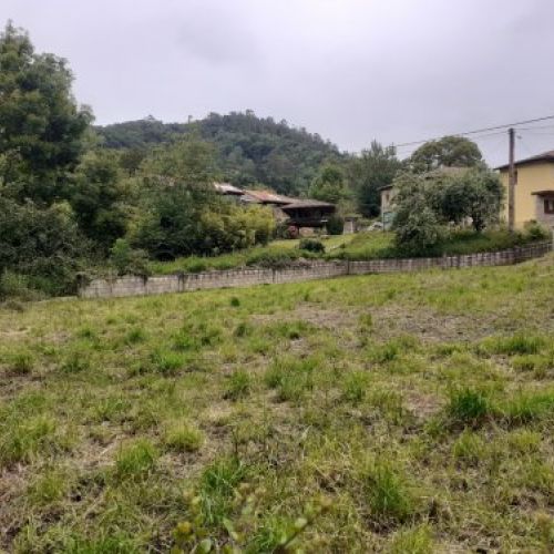 Finca edificable y Cuadra en CABRANES  (FIN