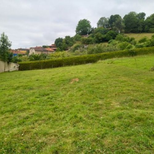 9b5d6cabe2d14946e0b16b98d3fcdf580dead327