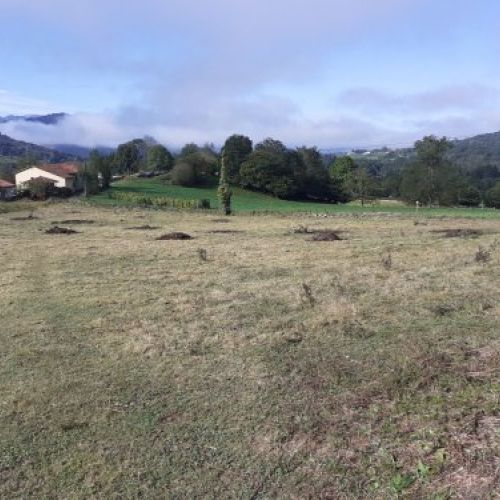 165c3cdd6fed84c4182d502bd718440cf3e0e473