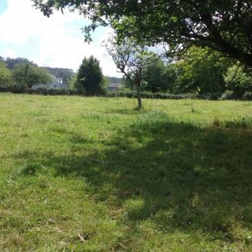 2 Fincas edificables en Selorio   VILLAVICIOSA  (FIN