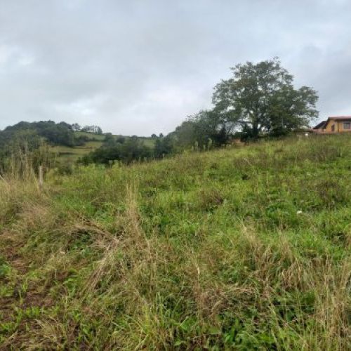 17d8309c010c06b6b330aa437ec070c94fd31fc4