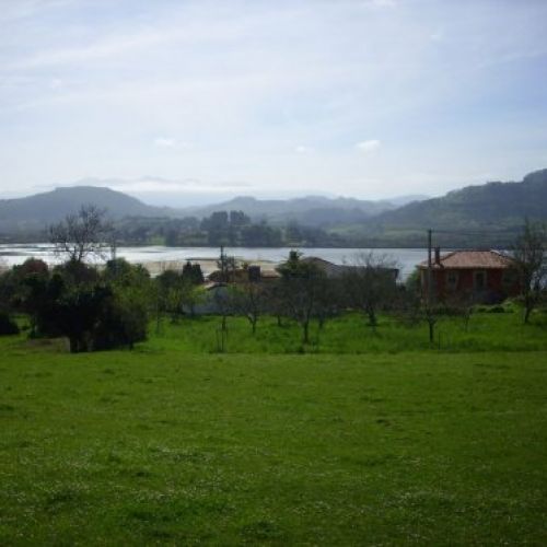 IMG 0005