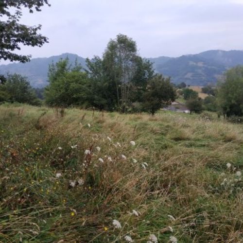 cca1cf6e5c52270481bcd538e75b55ef65d5606f