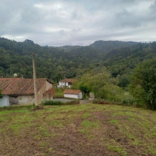 833d538155b8d17232dac0ed7bb914496ccae7d0