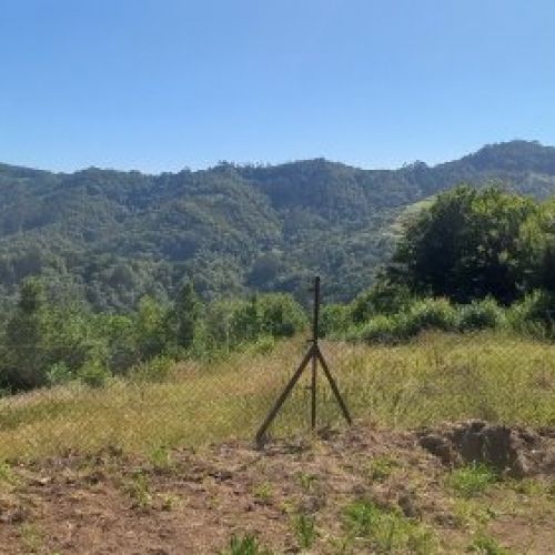 Finca Edificable y Llagar de piedra en VILLAVICIOSA  (FIN