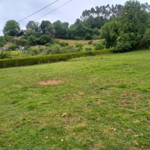 Finca edificable en CABRANES  (FIN
