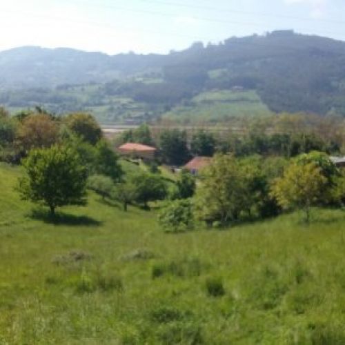 Fincas edificables en VILLAVICIOSA  (FIN