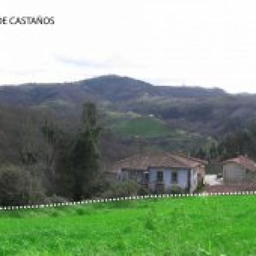 Venta de finca edificable en Cabranes  (FIN