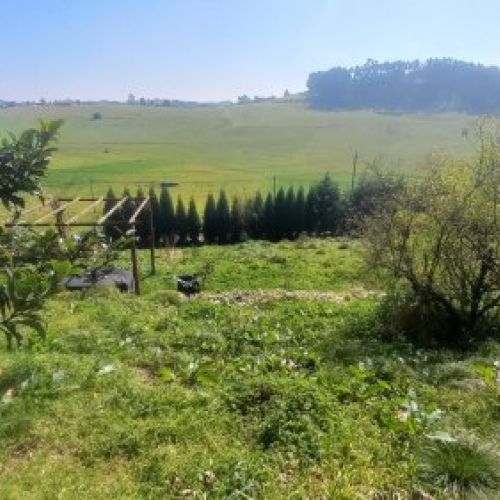 6ca037c185085c37cf01a16d9694b885c68cb2b2