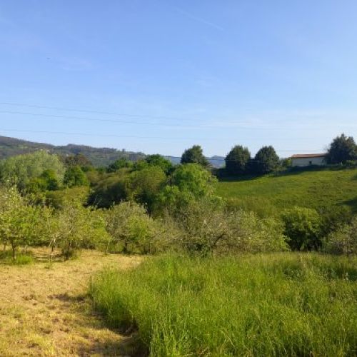 Finca edificable de 3