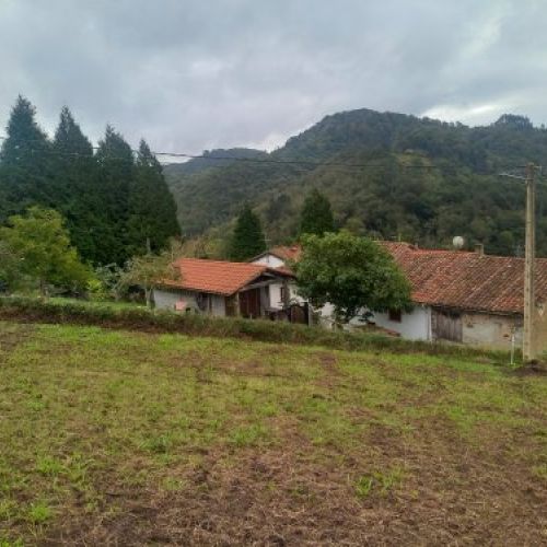 Finca edificable en CABRANES