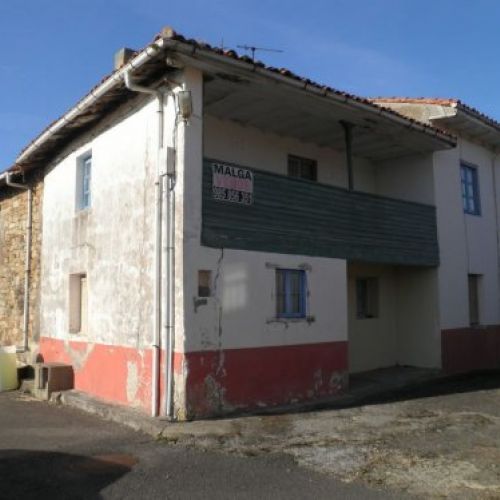 P1010005